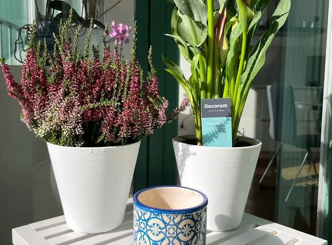 Brixhome * Laveno-Mombello